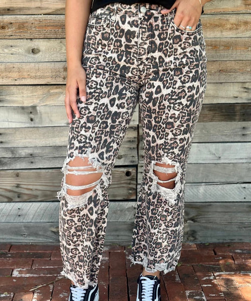 PREORDER Hear Me Roar