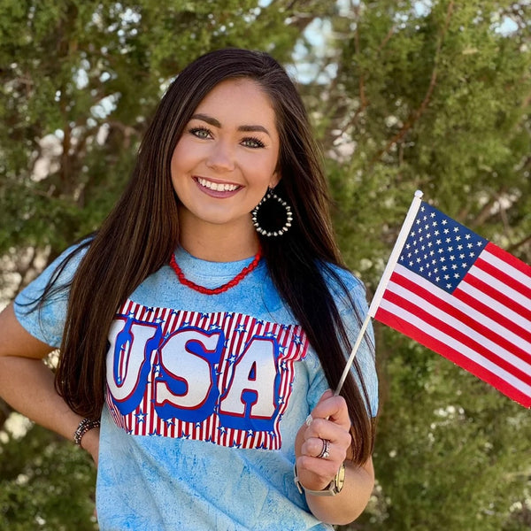 PREORDER USA Block with Stripes in Glitter Tee