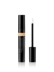 Mary Kay Perfecting Concealer - Blaser Bling 